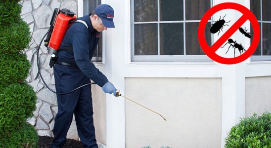 Gölköy Kene İlaçlama böcek ilaçlama ve haşere kontrolü — ilaclama-tr.com